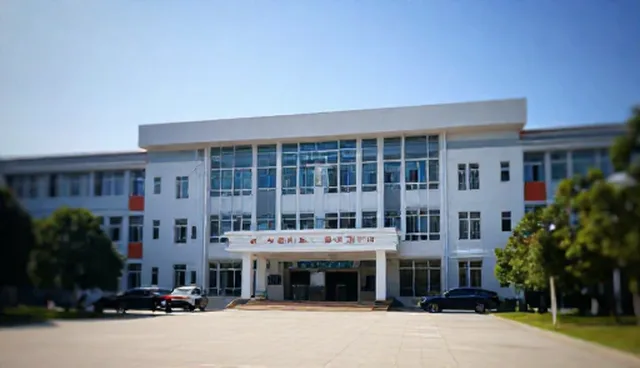 健康咨询服务：性能差异与适用条件对比
